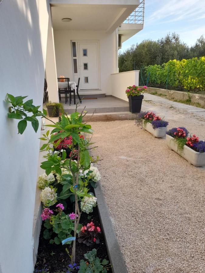 Apartmani Sara Bibinje Extérieur photo