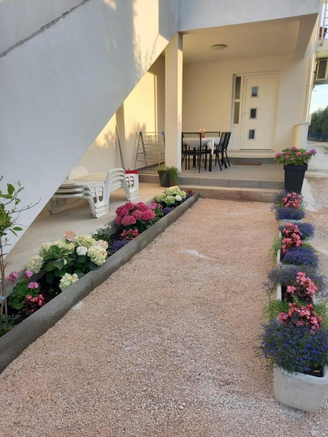 Apartmani Sara Bibinje Extérieur photo