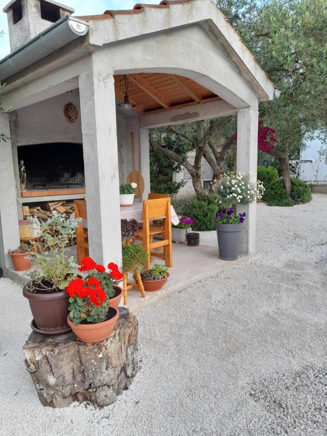 Apartmani Sara Bibinje Extérieur photo