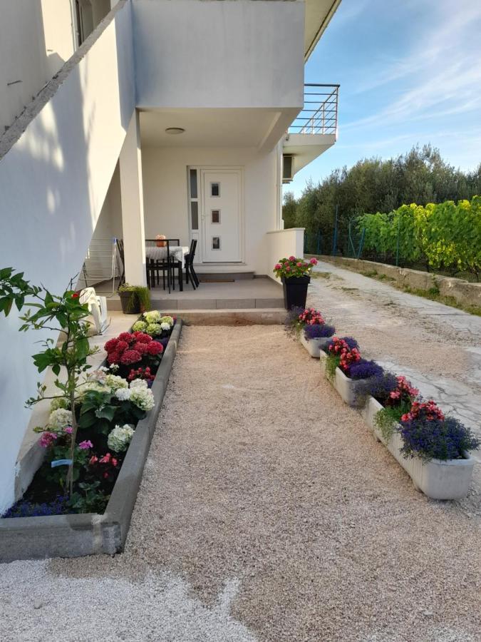 Apartmani Sara Bibinje Extérieur photo